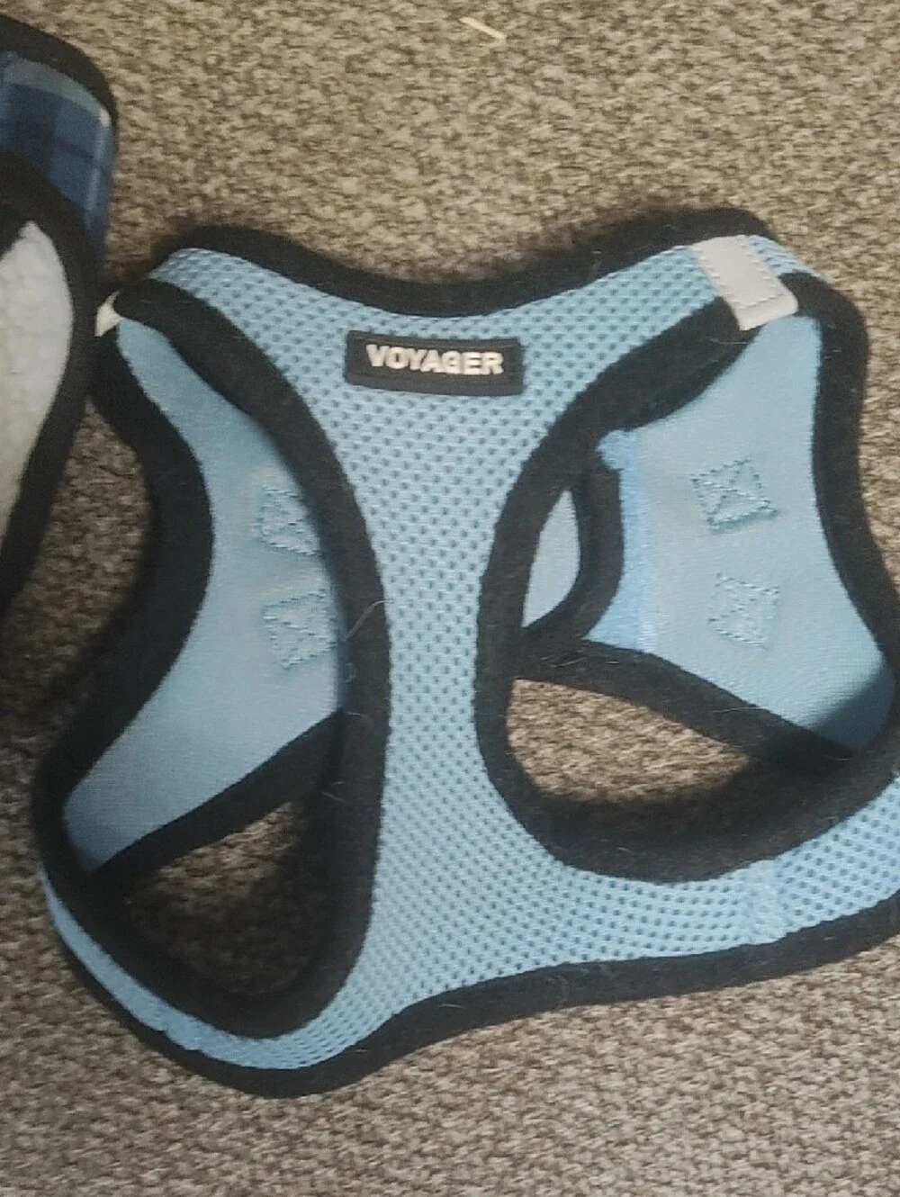 Assorted Small Dog Jackets & Harnesses - Blue, Red, Brown, Black